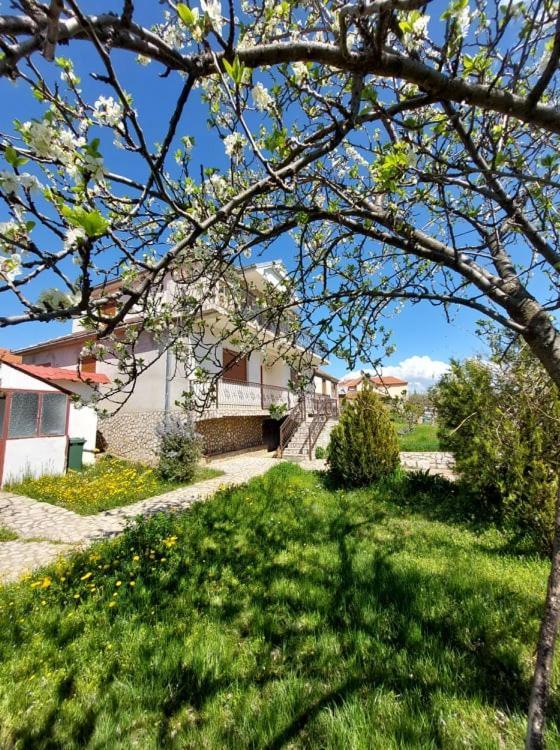 Prespa'S Balcony Guesthouse Dolna Gorica 외부 사진