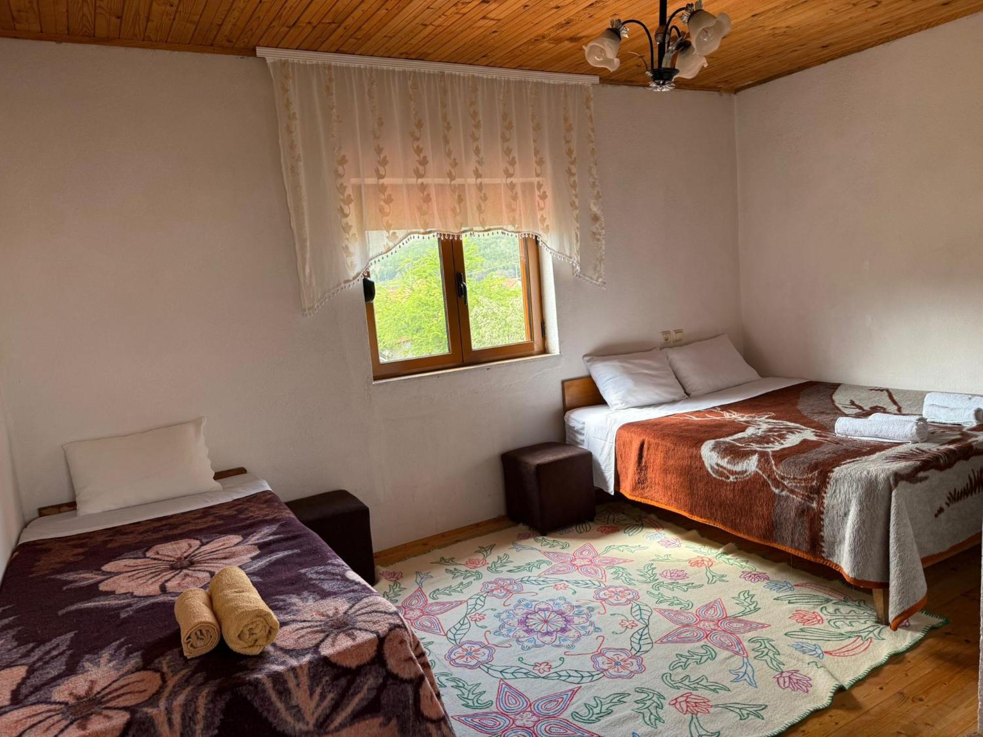 Prespa'S Balcony Guesthouse Dolna Gorica 외부 사진