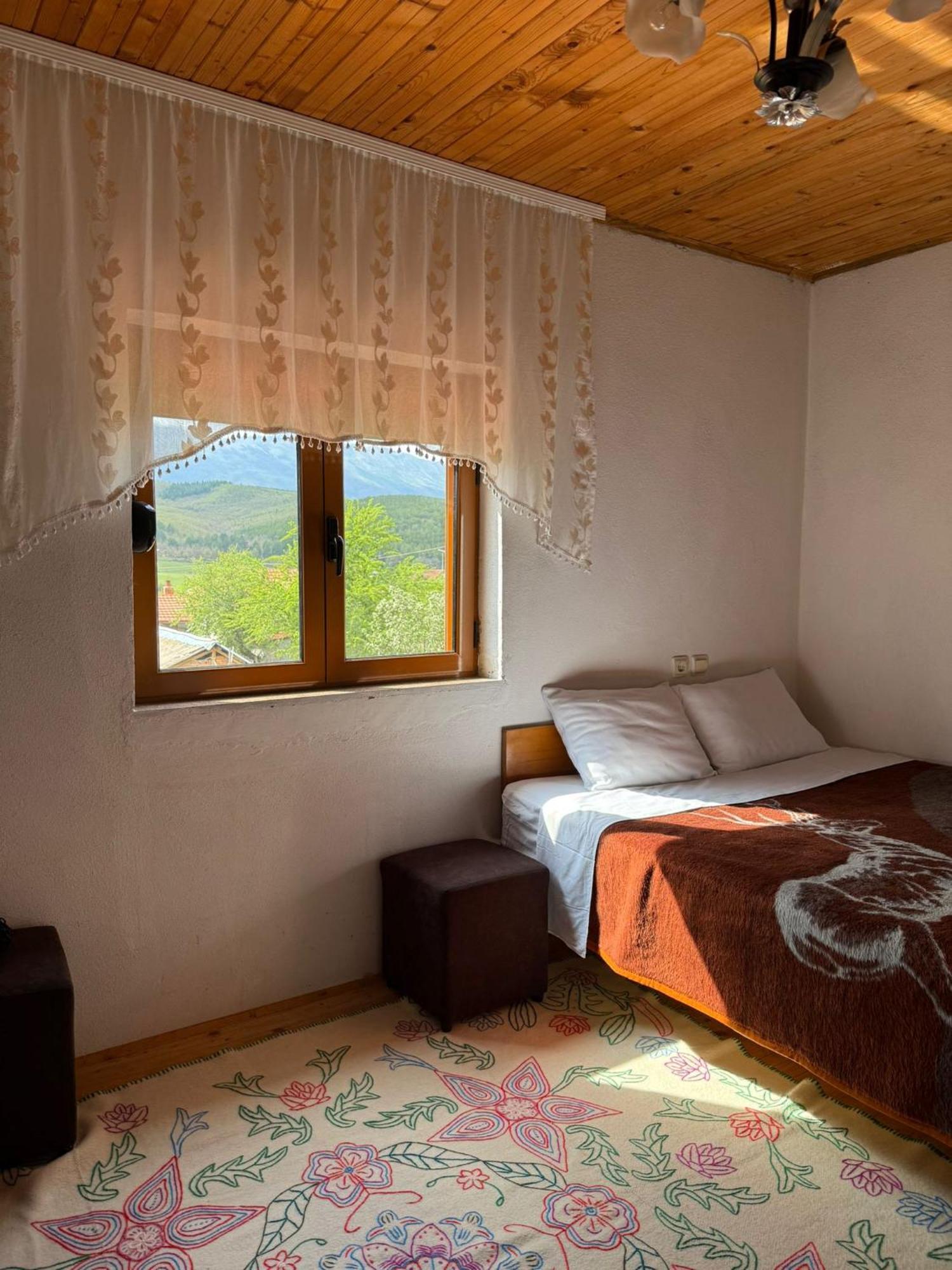Prespa'S Balcony Guesthouse Dolna Gorica 외부 사진